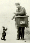 el organito.gif (187020 bytes)