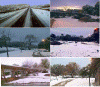 nieve altas cumbres.gif (511373 bytes)