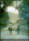 rio ceballos 1950.gif (108080 bytes)